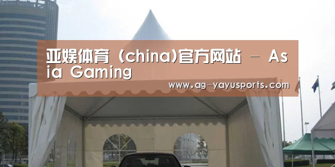 案例标题八