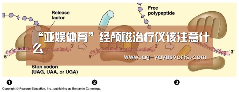 “亚娱体育”经颅磁治疗仪该注意什么(图3) 亚娱体育